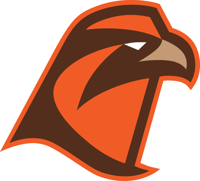 Bowling Green Falcons 2006-Pres Alternate Logo v7 DIY iron on transfer (heat transfer)